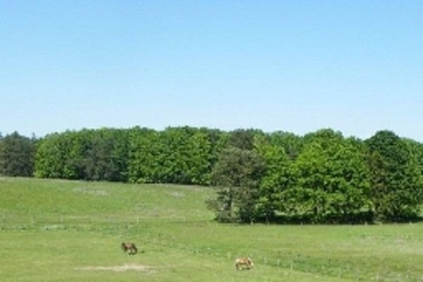 Gut Sarnow (Schorfheide)